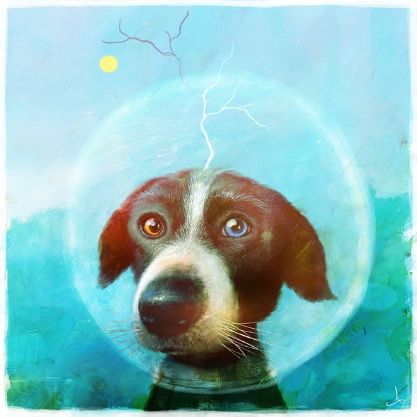 Rover - Alexander Jansson Shop