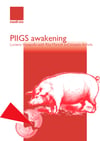 PIIGS Awakening-Epub Version