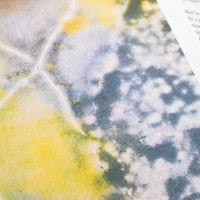 Image 4 of Lucas Herzig - Roadkill II