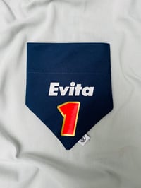 F1 personalised bandanas 
