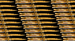 Image of The Outsiders Golden Pearl Handle Gold Blade "Stay Gold" Stilettos.