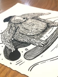 Image 4 of Snow Beaver