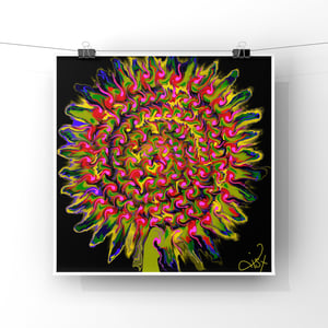 Sunflower ( Black/Yellow/Pink ) 