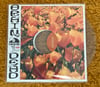 Ceremony - Vanity Spawned by Fear - Clear Vinyl LP