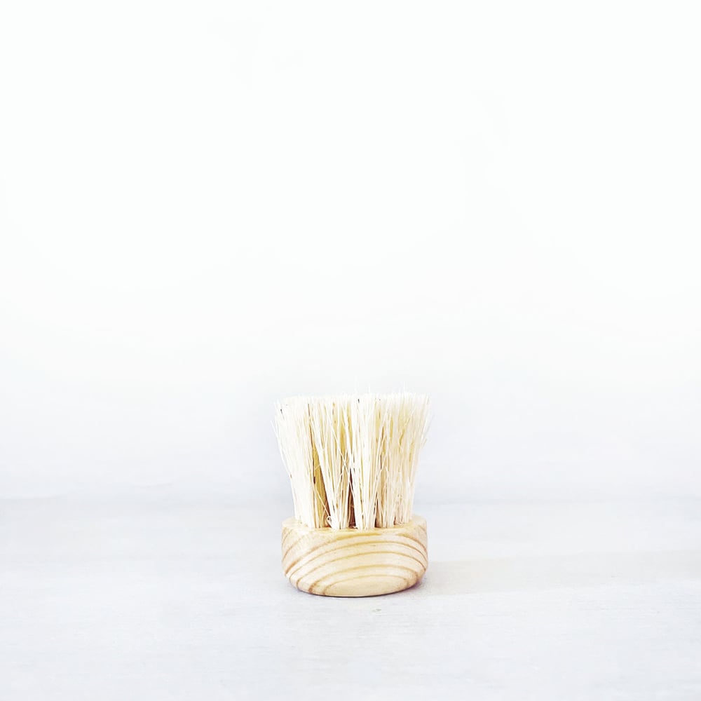 Image of Handmade Agave Dry Face Brush