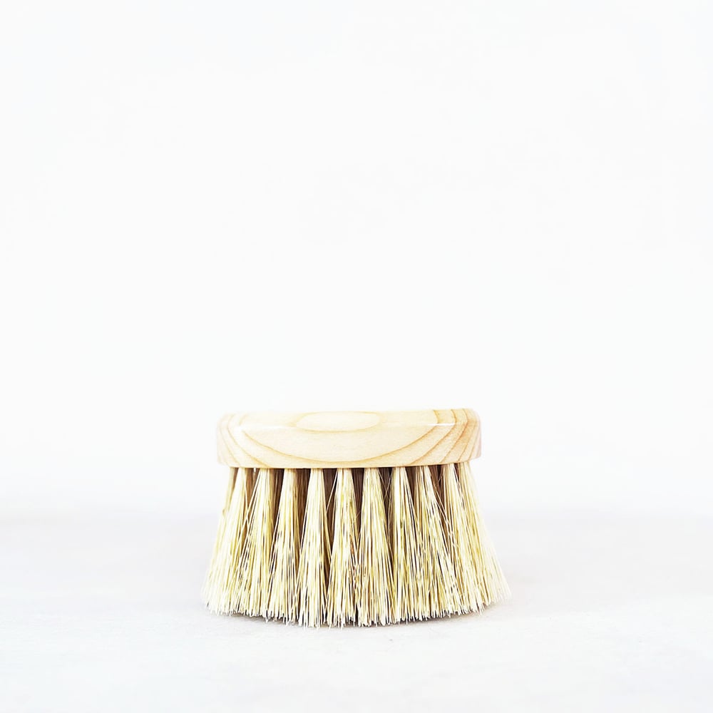 Image of Handmade Agave Round Dry Body Brush