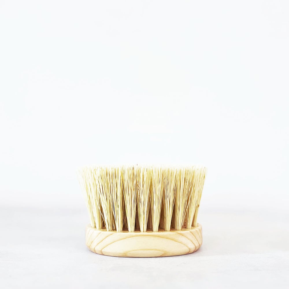 Image of Handmade Agave Round Dry Body Brush