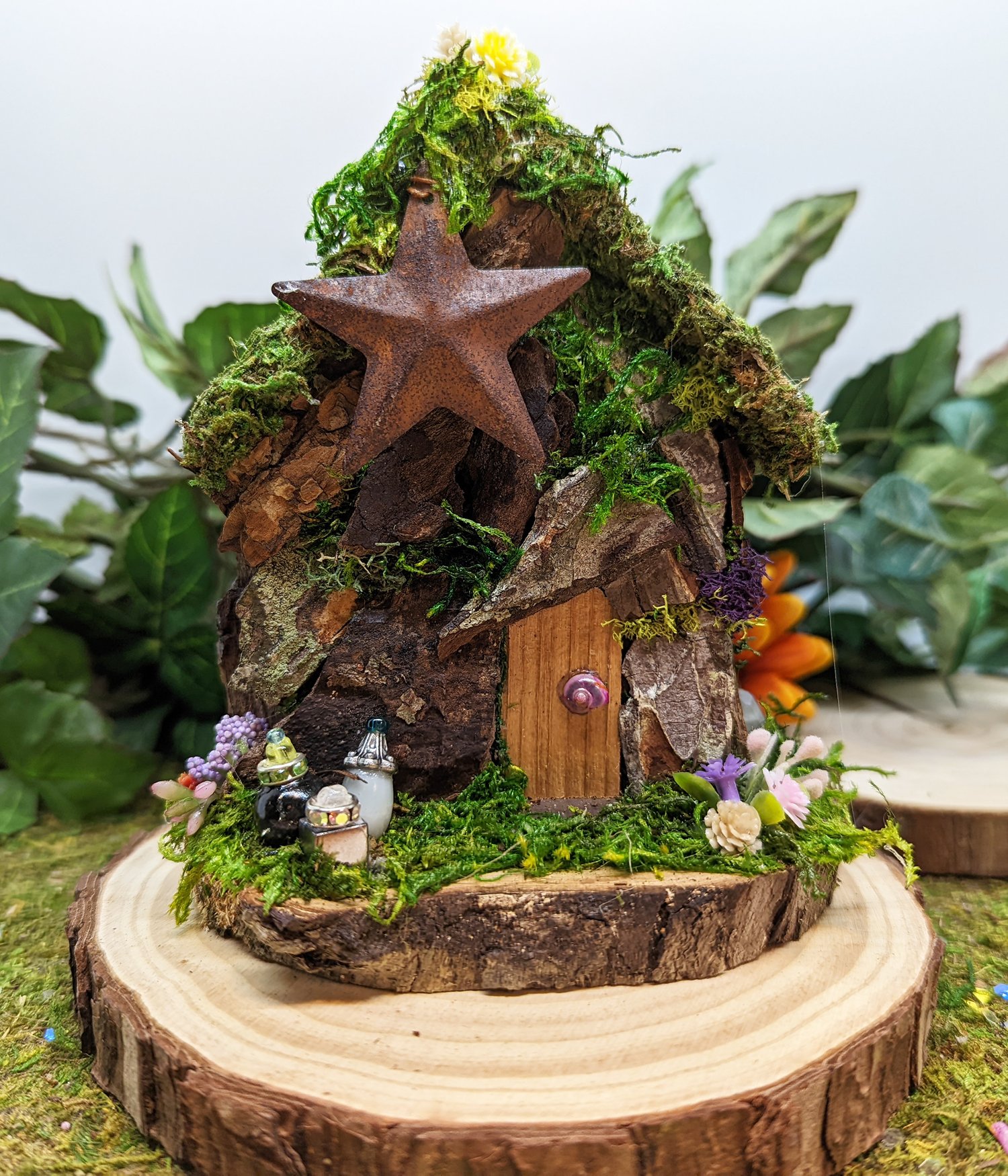 Image of Mini Fairy House w/ Star