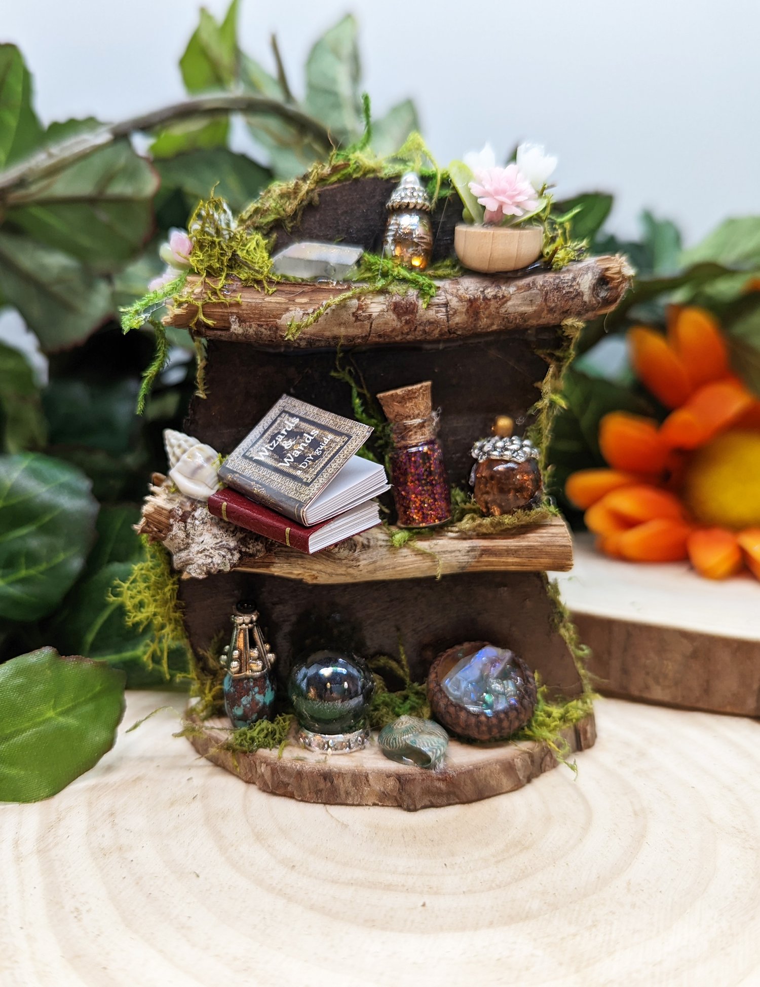 Image of Fairy Garden Book Shelf with Potions & Accessorries