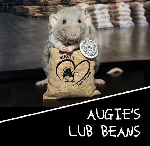Image of Augie's Lub Beans