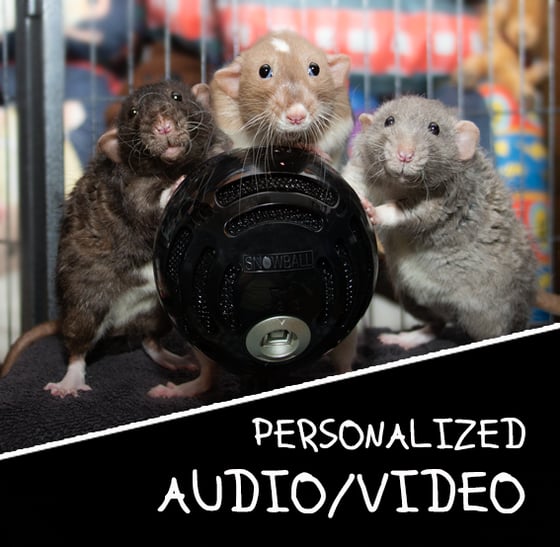 Image of PERSONALIZED Audio or Video (it's like CAMEO)