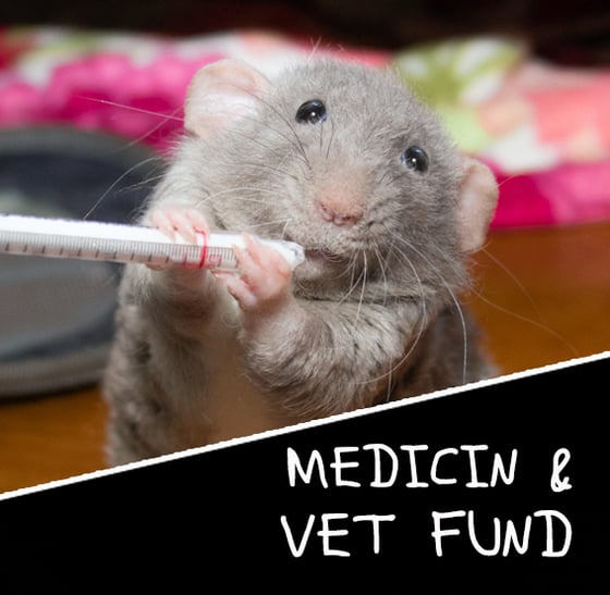 Image of MMH Medicine and Vet Fund