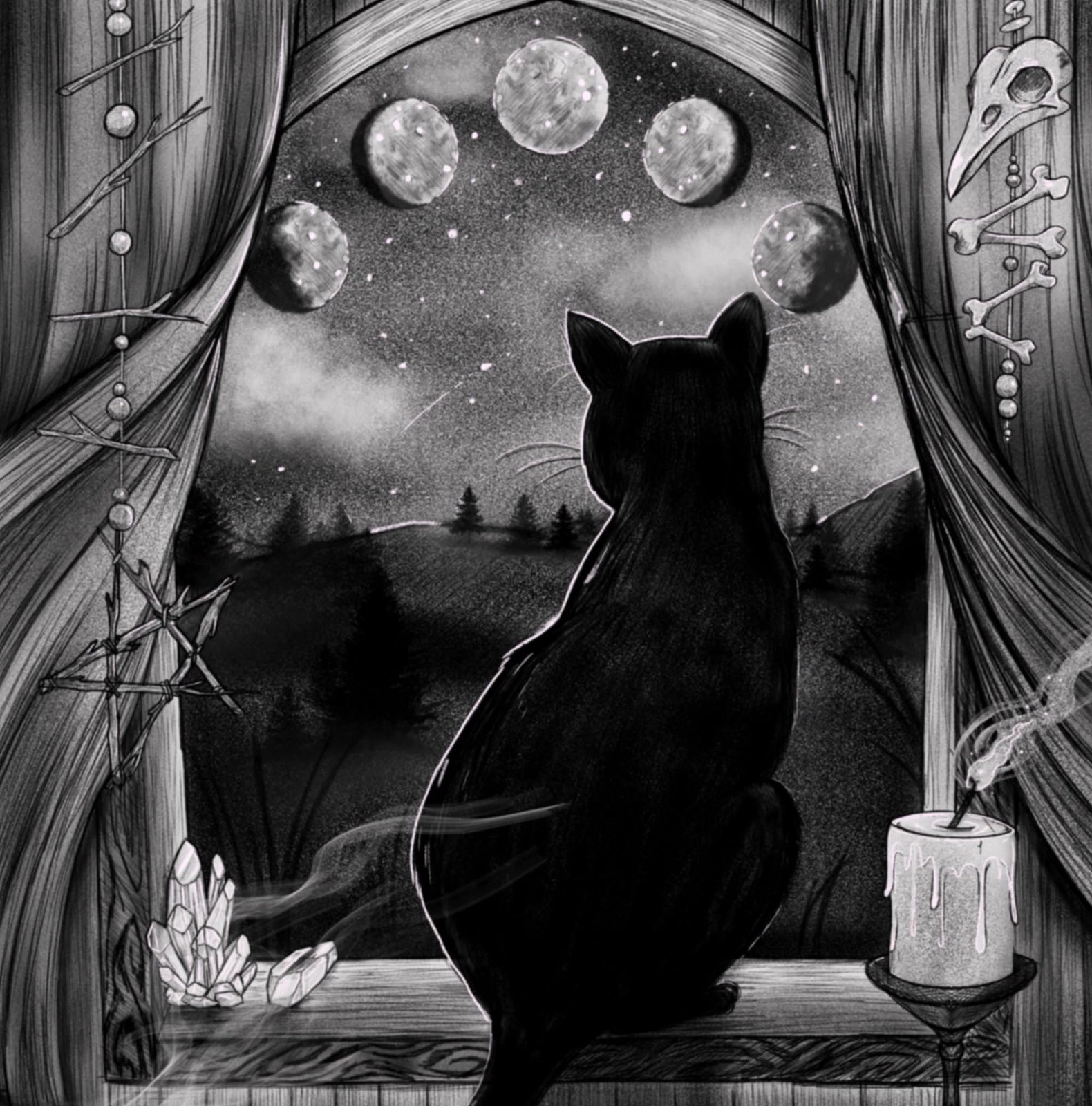 Black cats and sales witches