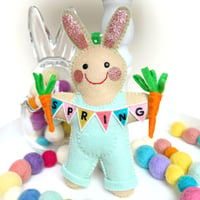 Image 1 of Mint Bunny Spring Carrots