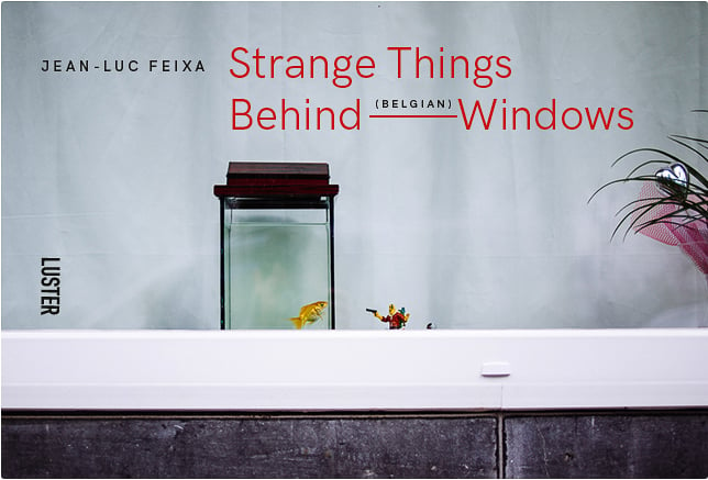 Strange Things Behind Belgian Windows - Signed edition