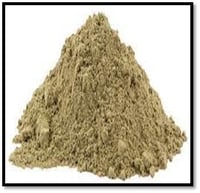 Hyssop
