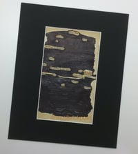 Black out poem - Honey flow