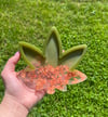 Weed Leaf Ashtray 