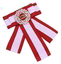 Image 1 of Delta Sigma Theta Ribbon Tie/ Brooch 