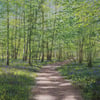 Grace Ellen "Through The Bluebells"