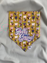 Image 1 of Hello Spring 