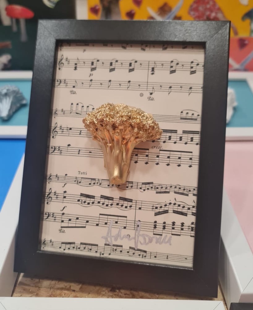 Image of CONCERTO (MINI)
