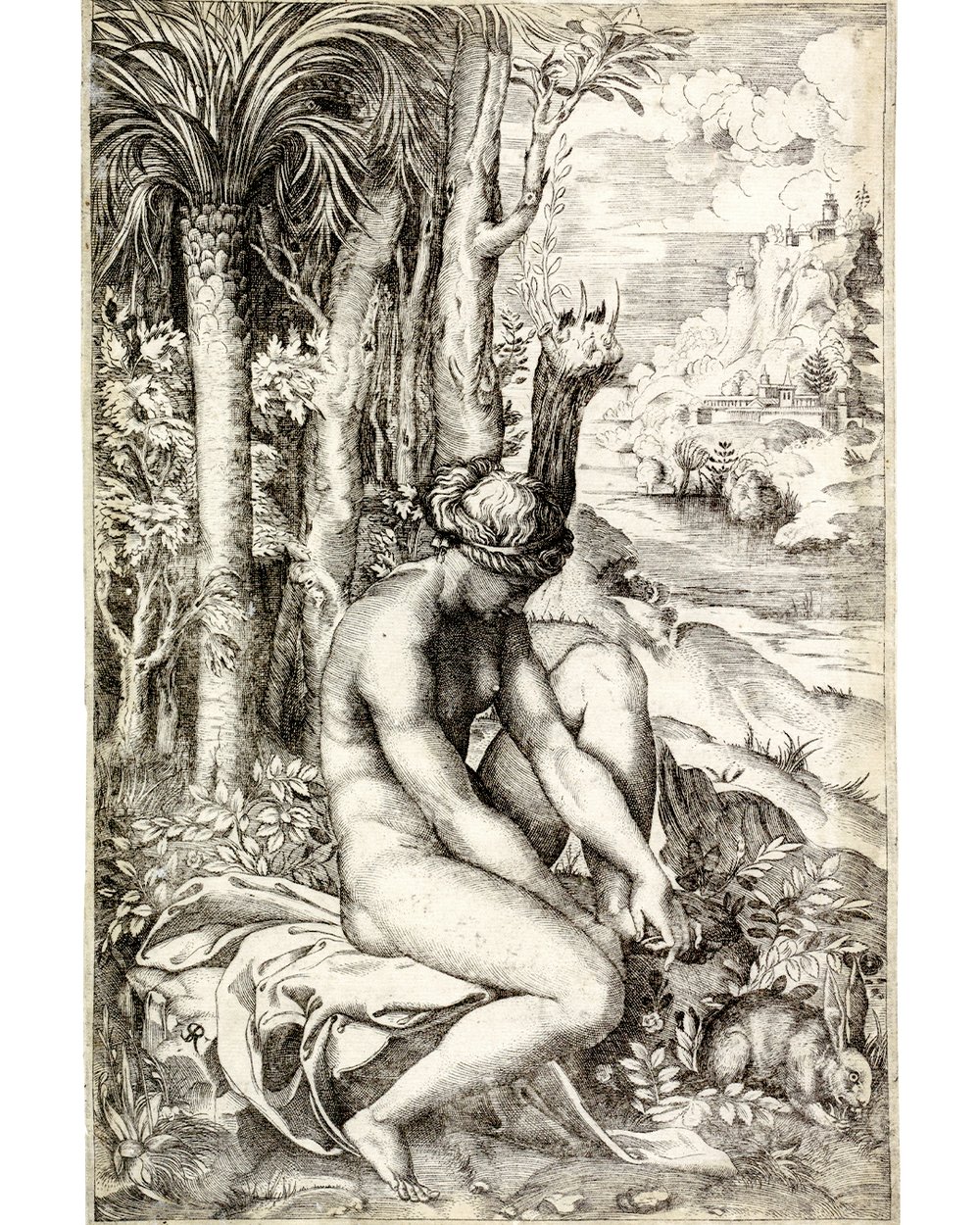 ''Venus and the rose'' (1498 - 1532)
