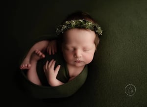 Image of Cashmere Cozy / olive