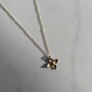 Image of oli necklace