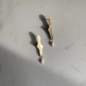 Image of finch earring