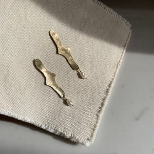 Image of finch earring