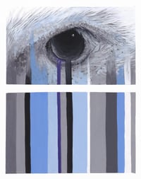 Image 4 of Print pack (4x5, 8x10, 11x14 inches) 'eyeof' three print set