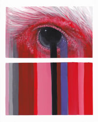 Image 3 of Print pack (4x5, 8x10, 11x14 inches) 'eyeof' three print set