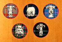 Image 1 of Dogs Circle Sticker Pack of Five