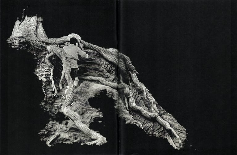 Vol. 4 Image 3