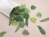 Green Tropical Leaves Confetti