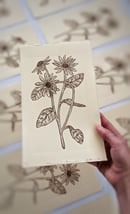 Image 1 of Olearia pannosa Linocut Print