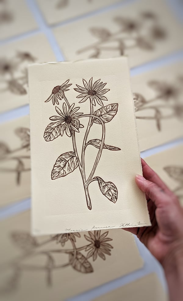 Image of Olearia pannosa Linocut Print