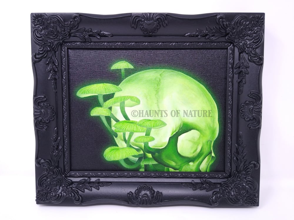 Glowing Skull and Mushrooms Oil Painting on Canvas (Framed)