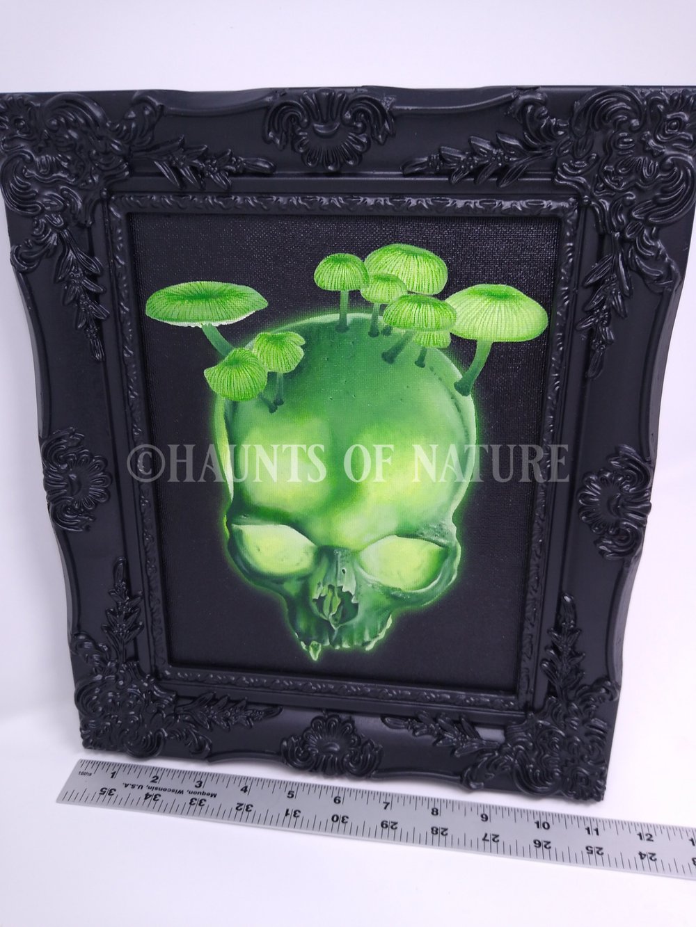 Glowing Skull and Mushrooms Oil Painting on Canvas V.4 (Framed)