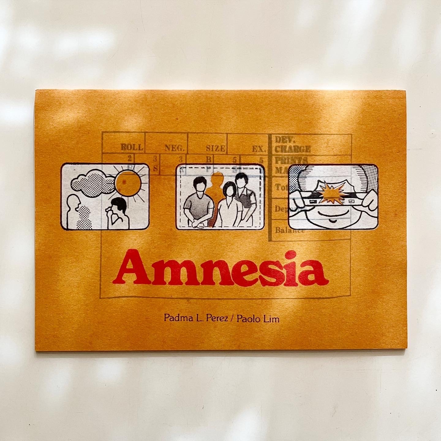 Image of Amnesia