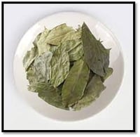 Soursop Leaves