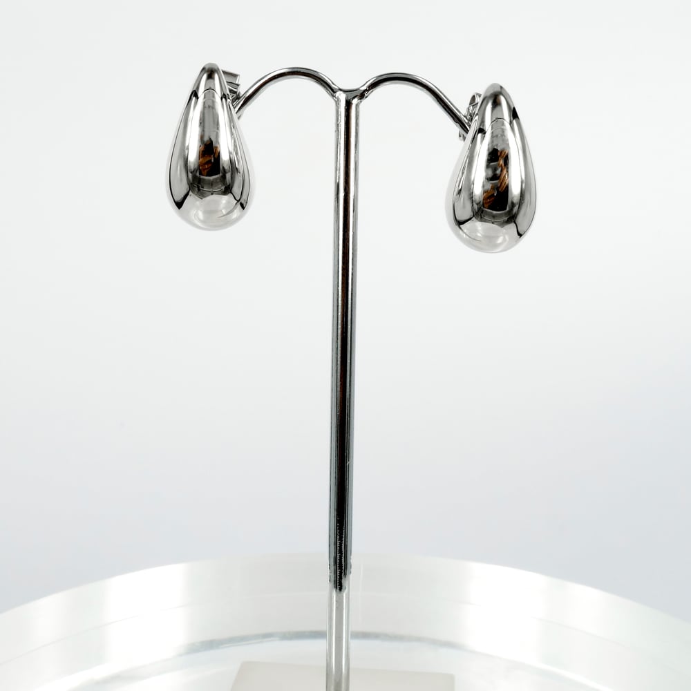 Image of Sterling silver drop earrings. M3271