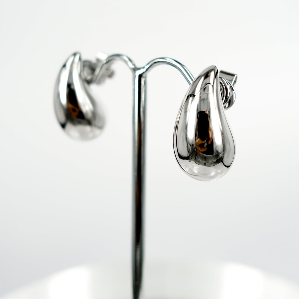 Image of Sterling silver drop earrings. M3271