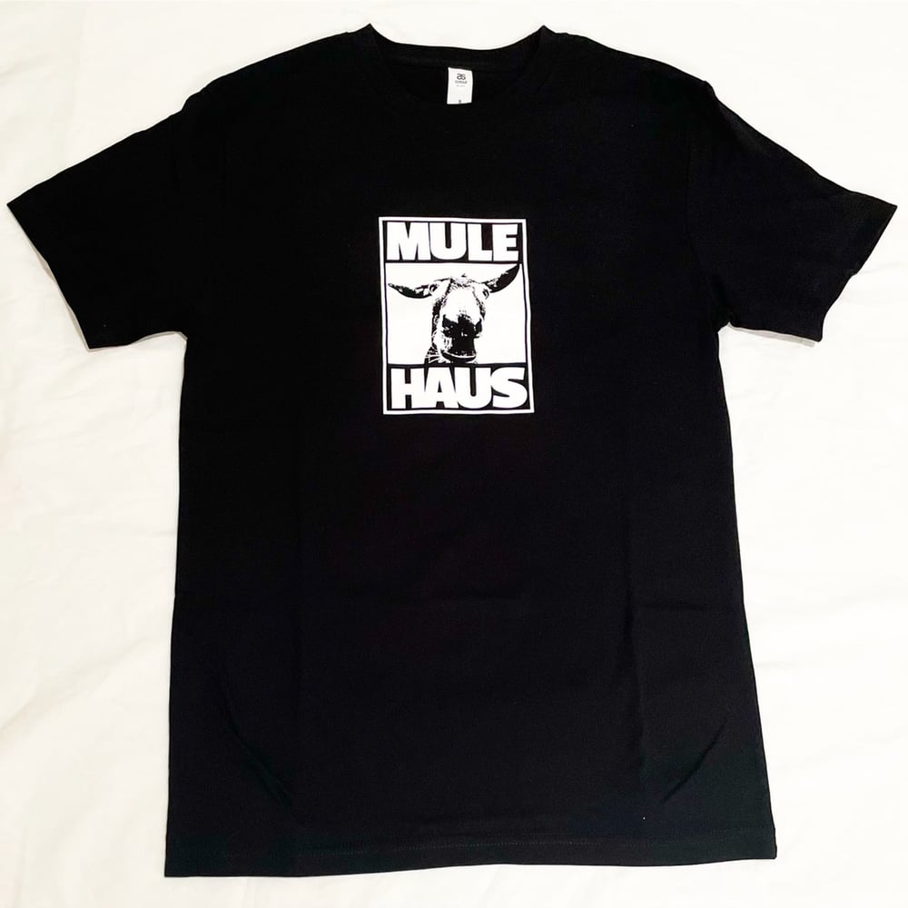 MH0016 ENTER THE MULE HAUS