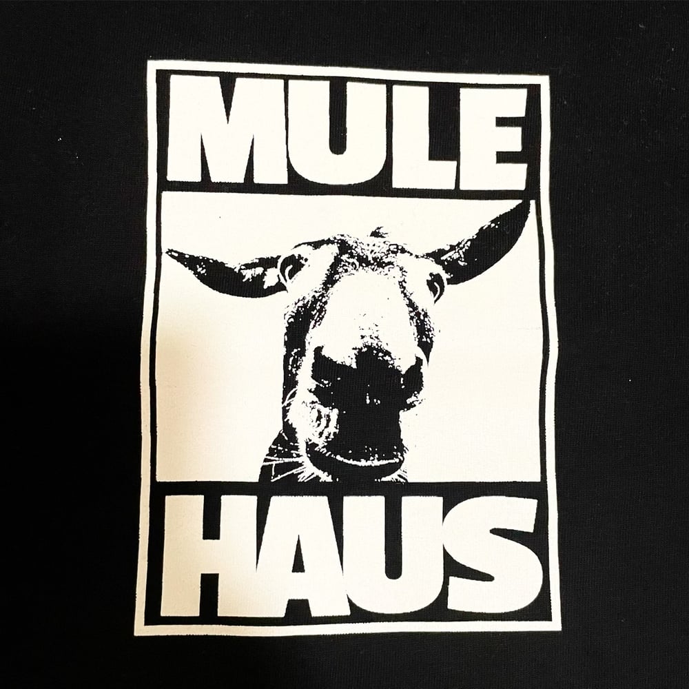 MH0016 ENTER THE MULE HAUS