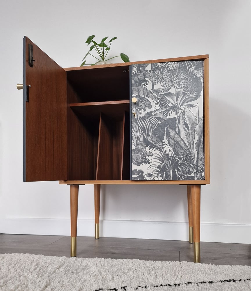 Image of DYNATRON CABINET WITH DIVINE SAVAGES 'FAUNACATION' DECOUPAGE DESIGN