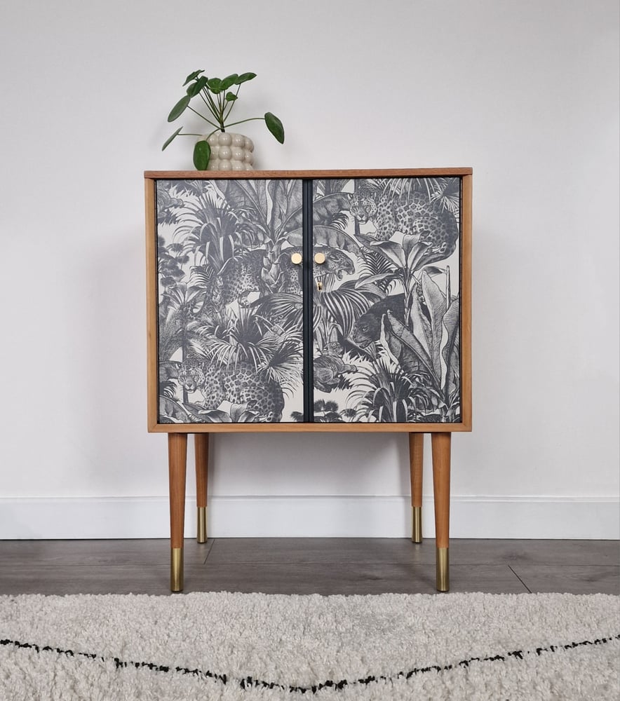 Image of DYNATRON CABINET WITH DIVINE SAVAGES 'FAUNACATION' DECOUPAGE DESIGN