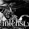 mlehst - PEDANTIC/PESSIMISTIC (CD) 