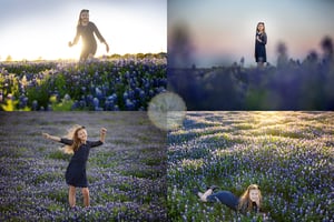 Image of Bluebonnet Family Mini